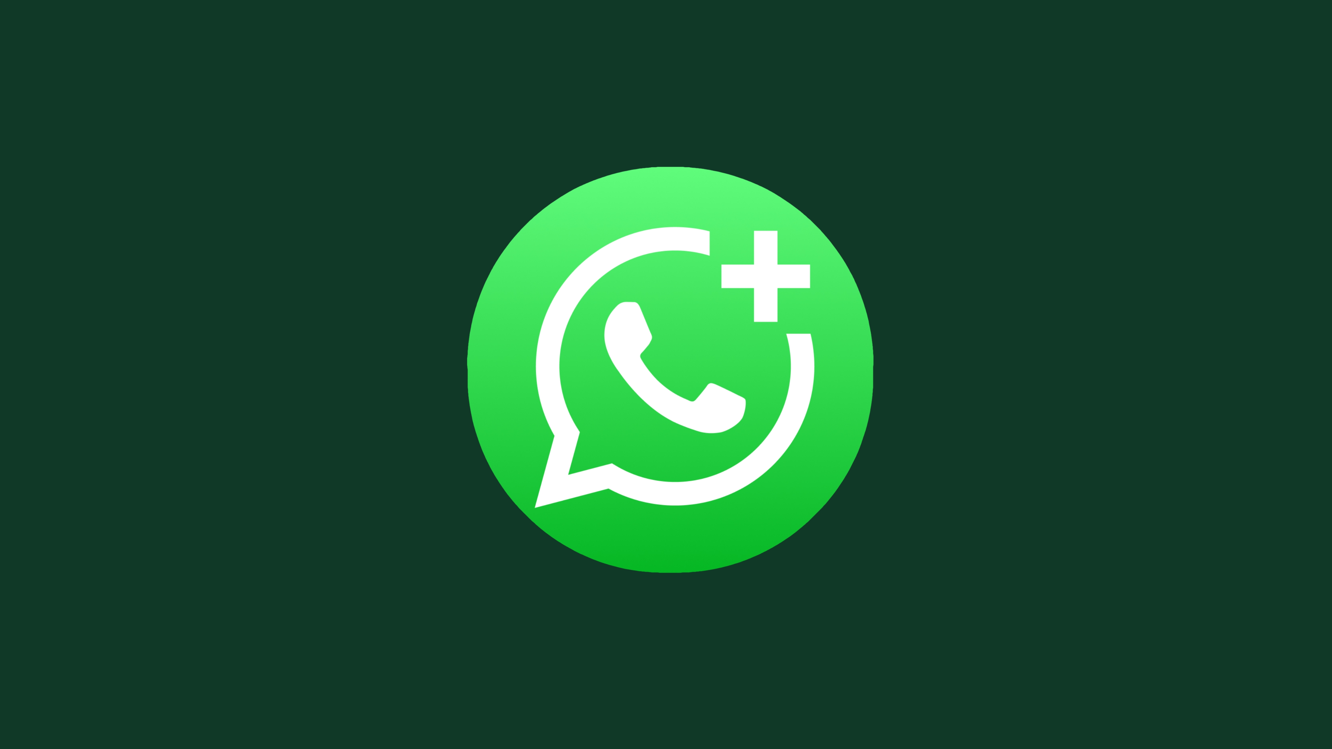 WhatsApp contacts